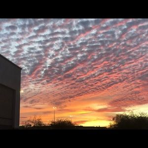 Meet your Posher, Toni